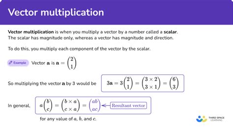 Vector Multiplication Questions And Answers
