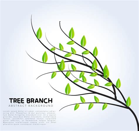 Vector tree branch with leaves