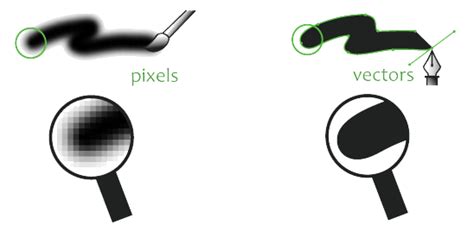 Vector vs Bitmap Images