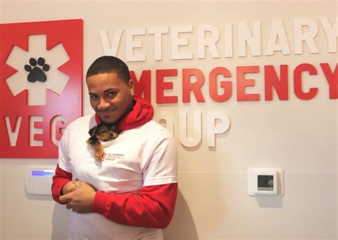 Veg vet. Veterinary Emergency Group, Boston, Massachusetts. 451 likes · 230 were here. VEG is the emergency vet you can rely on to be there for you and your pet... 
