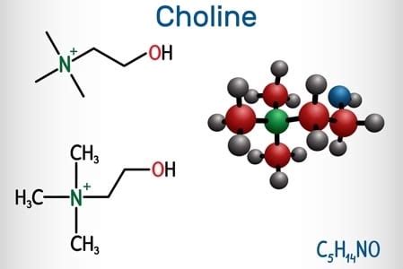 Vegan Choline Sources VeganFriendly.org.uk