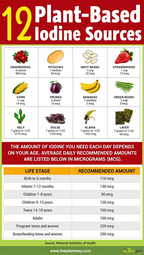 Vegan Iodine Sources & Supplements VeganFriendly.org.uk