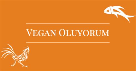 veodersti.rgarabwor.edu.pl. 