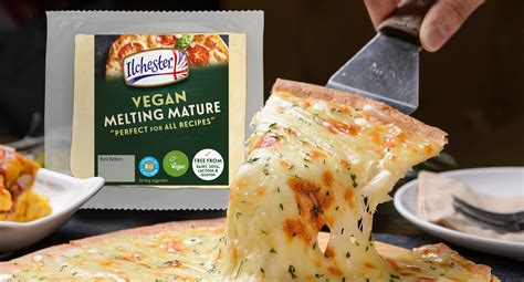 Vegan cheese brands. Vegan “Dairy Identical” cheese made from animal-free casein will launch in 2023. Startup New Culture has found a way to create animal-free casein using a precision fermentation process that gives its dairy-identical vegan mozzarella the traditional color, melt, and stretch. Its first mozzarella product is described as having “the same ... 