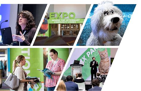 Vegas Veterinary Conference 2023