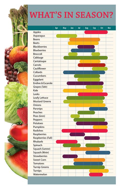 Vegetable And Fruit Season Calendar