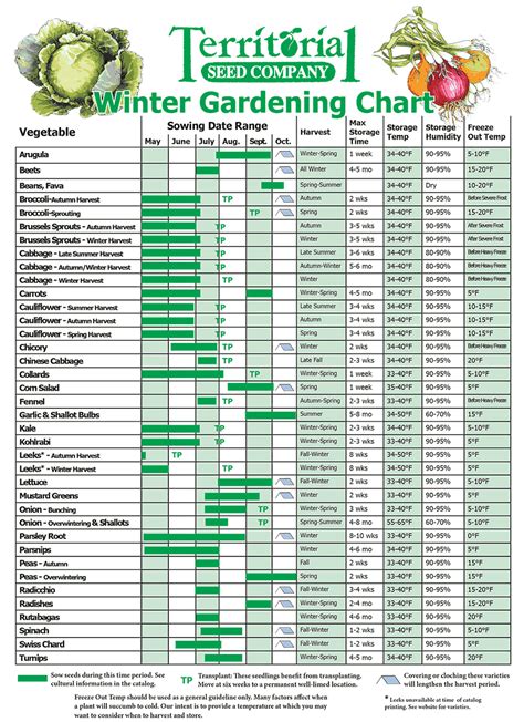 Vegetable Planting Calendar Zone 8