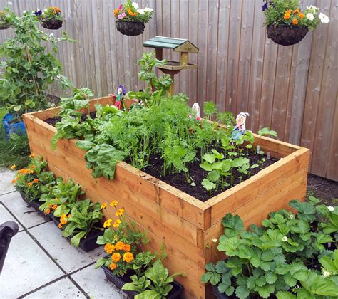 Vegetable container gardening guide for beginners how to grow healthy vegetable and herb gardens in small spaces. - Manual del quemador riello 40 f5.