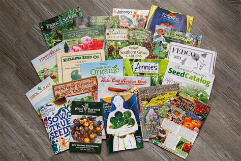 Vegetable seed companies. Garden Seeds, Growing Kits & Supplies - Organic & Heirloom Seeds. Find out why over a million customers have chosen True Leaf Market Seed Company for their seed and growing needs. We carry a huge selection of vegetable garden seeds, herb seeds & flower seeds, including heirloom, organic and hybrid seed types. 