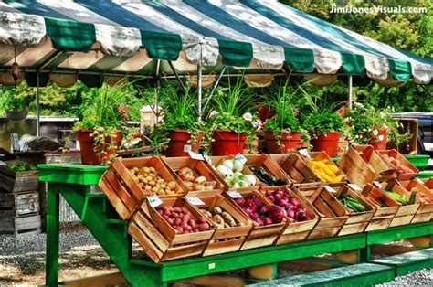 Vegetable stand near me. Things To Know About Vegetable stand near me. 