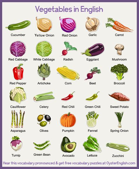 Vegetables that start with B (20 words) - WordMom English