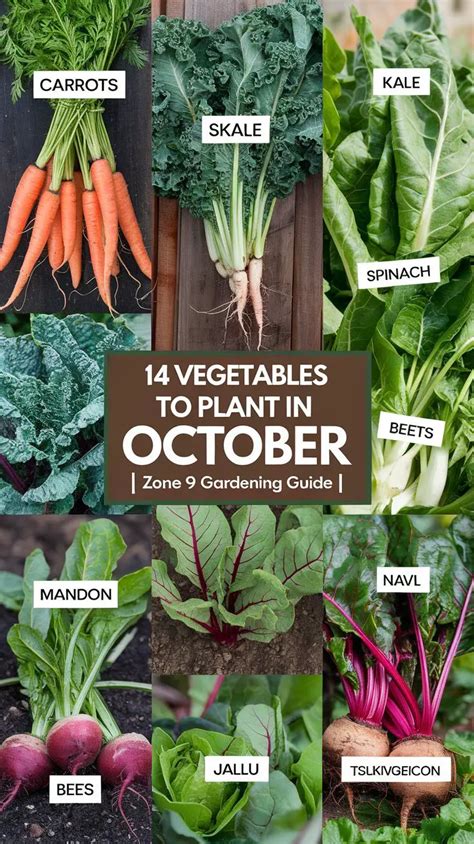 Vegetables to plant in october