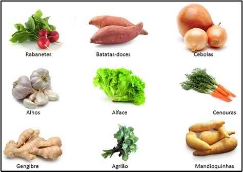 Vegetais que tem raizes.  Neste gloss&aacute;rio, exploraremos os diferentes tipos de vege...