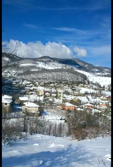 Velibeyler Halı ve Koltuk Yıkama