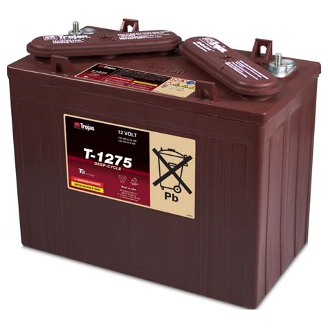 Vendita Batteria Trojan T 875 per golf car e veicoli elettrici ...