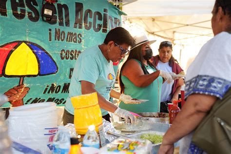 Vendors