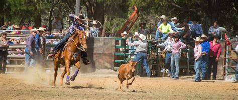 Vendors Boddington Lions Rodeo