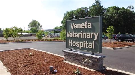 Veneta vet. Specialties: We specialize in compassionate, comprehensive, affordable veterinary care. This is a combination not easy to find in the veterinary world today. Established in 1979. Veneta Veterinary Hospital has a longstanding tradition of helping our community and beyond with complete veterinary care. Our locally owned hospital has been serving the medical, surgical and dental needs of patients ... 