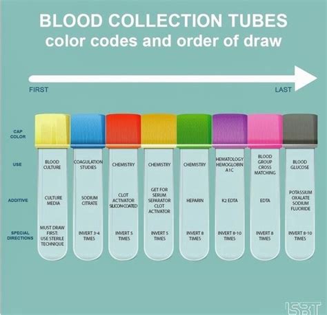 Venipuncture Order of Draw Diagram Quizlet