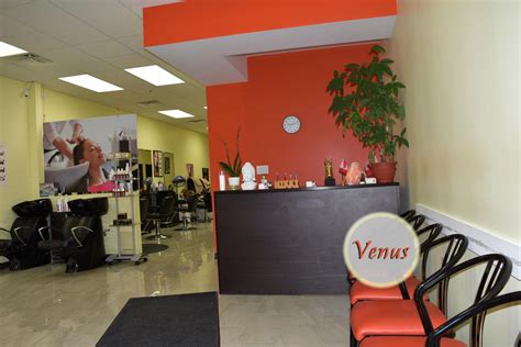 Venus salon. Venus Salon is a wonderful, welcoming place with friendly staff and furry friends! The salon is bright, clean and nicely decorated! Ask for LaRon for all hair types and styles but specializing in black natural hair styles. Great location and you can always find parking! 