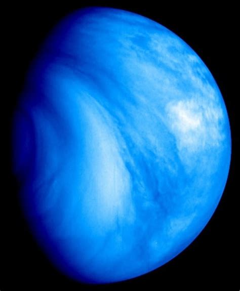 🍑 Venus-Blue Leaked [PPV] 179 Vids
