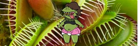Venustheflytrap Onlyfans Leaked [CLIP] 😈