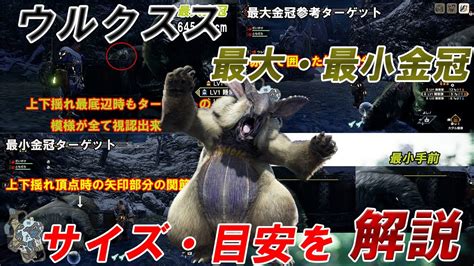 Ver.1.0【最大金冠】ウルクスス【最小金冠】サイズ詳細・解説付き モンスターハンターライズ 金冠集め MHRise 金冠