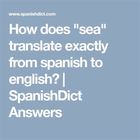 Verb in Spanish English to Spanish Translation - SpanishDict