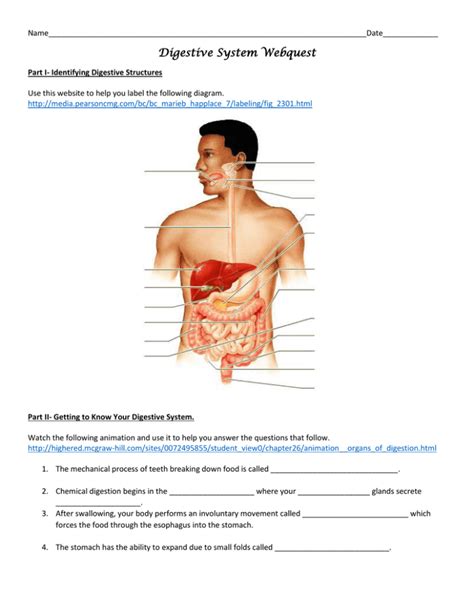 Verdauungssystem mcgraw hill study guide antworten digestive system mcgraw hill study guide anwers. - Income tax fundamentals 2012 solutions manual.