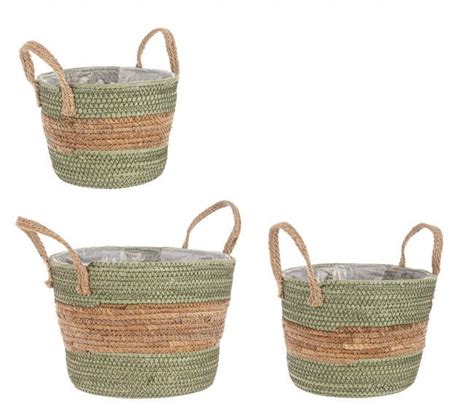 🍆 Verde Alyce Onlyfans Leak +18