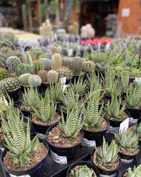 Verizon near me number.  | Shop.  Here's how to get started.  Ltd.  Get our be...