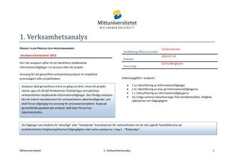 Verksamhetsanalys exempel