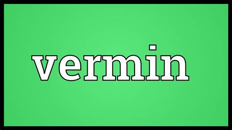 Vermin definition and meaning Collins English Dictionary