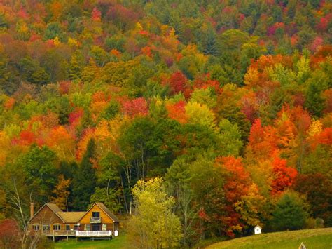 Vermont lifes guide to fall foliage. - Guida allo studio della criminologia di siegel il nucleo.