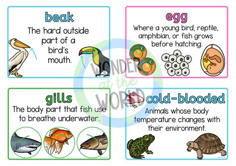 Vertebrates - Teaching resources - Wordwall