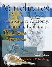 Read Online Vertebrates Comparative Anatomy Function Evolution By Kenneth V Kardong