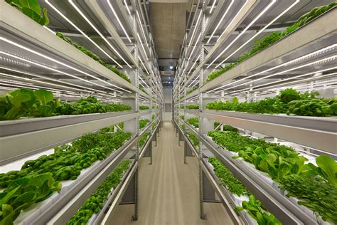 Vertical farm. Plenty operates the largest of its kind indoor plant science research facility in Laramie, Wyoming, and is currently building the world's most advanced, vertical, indoor farm in Compton ... 
