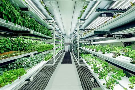 Vertical farming stocks. Things To Know About Vertical farming stocks. 