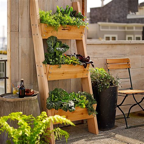 Vertical gardening. A vertical garden is simply a growing space that makes use of the vertical as well as the horizontal plane. Vertical gardens can come in a range of shapes, sizes and forms. At its simplest, a vertical garden can be a tree or vining plant grown vertically up a wall. 