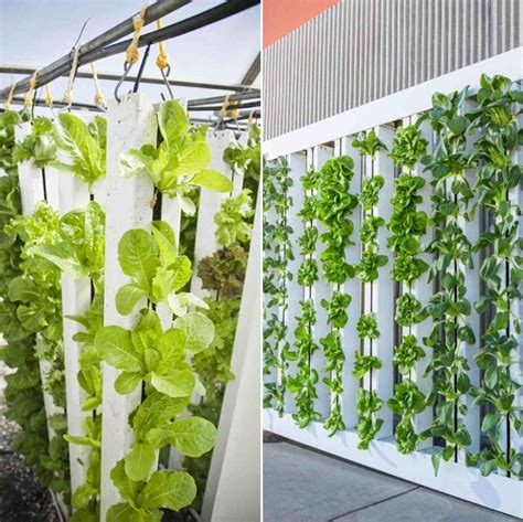 Vertical hydroponic garden. Introduction. Vertical hydroponics is an innovative approach to agriculture that combines the principles of hydroponics and vertical farming. This method allows for efficient use of space, reduced water consumption, and sustainable food production, making it an ideal solution for urban environments. The keyword “vertical hydroponics” is ... 