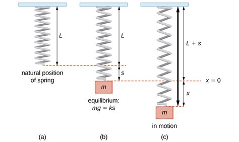 Vertical mass spring system equation of motion.  The equilibrium position ...