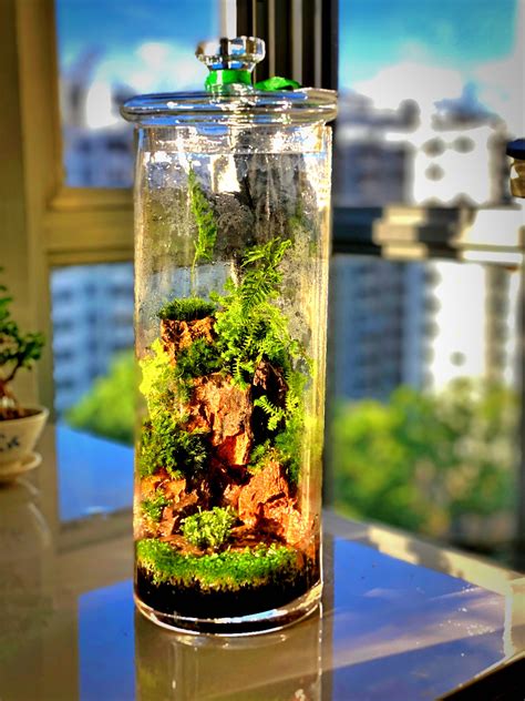 Vertical terrarium. Vertical terrarium MusingScapes. Arrives soon! Get it by Oct 5-10 if you order today. Oct 5-10 If you order today, this is the estimated delivery date and is based on the seller's processing time and location, carrier transit time, and your inferred shipping address. Keep in mind: shipping carrier delays or placing an order on a weekend or ... 
