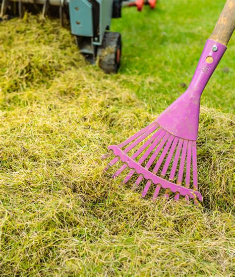 Verticutting vs. Aerating Overseeding Lawn RYAN Lawn …