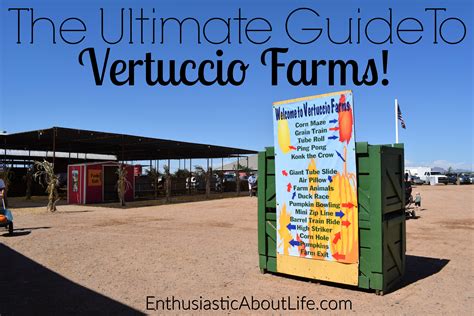 Vertuccio Farms in Mesa is a family fun destination all year long. From picking your own fresh produce during the summer to navigating the annual autumn corn maze, there’s always something going on. More recently, the farm has added a Christmas light display to its bag of tricks—and not just any old light display, we might add. Lights at .... 