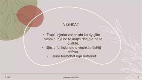 Veshkat e demtuara.  Dhimbjet n&euml; pjes&euml;n e poshtme t&euml; shpin&euml;s Dhimb...