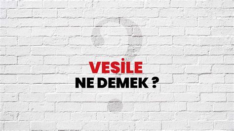 Vesile Halı ve Koltuk Yıkama