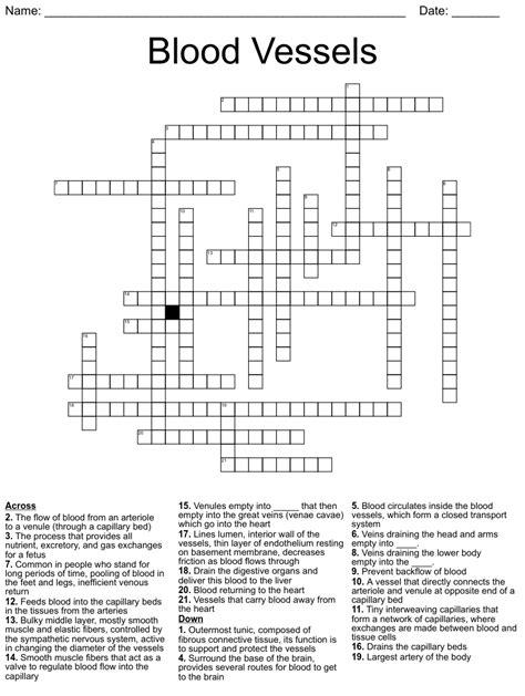 Vessel crossword. The Crossword Solver found 30 answers to "Torpedo vessel", 5 letters crossword clue. The Crossword Solver finds answers to classic crosswords and cryptic crossword puzzles. Enter the length or pattern for better results. Click the answer to find similar crossword clues . Enter a Crossword Clue. 