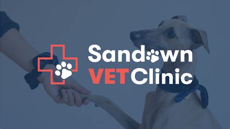 Vet 🩺 In Sandown Animaly