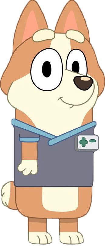 Vet Corgi Bluey Wiki Fandom