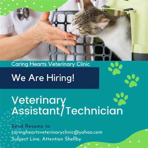 Vet assistant hiring. Things To Know About Vet assistant hiring. 